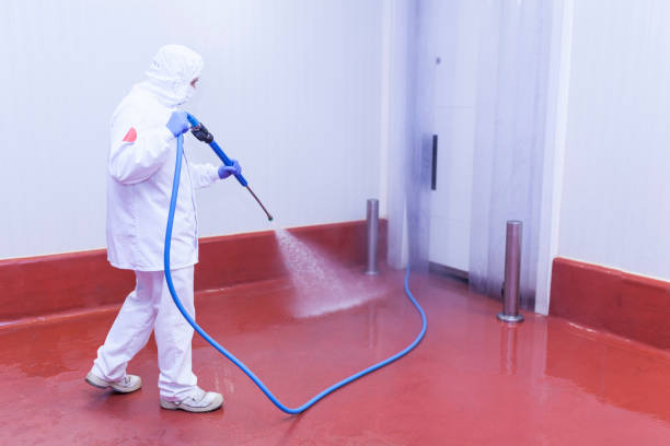 Best Solar Panel Cleaning  in Oakwood, PA